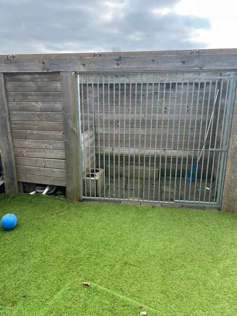 Honden ren, Ophalen, 110 cm of meer, 100 cm of meer