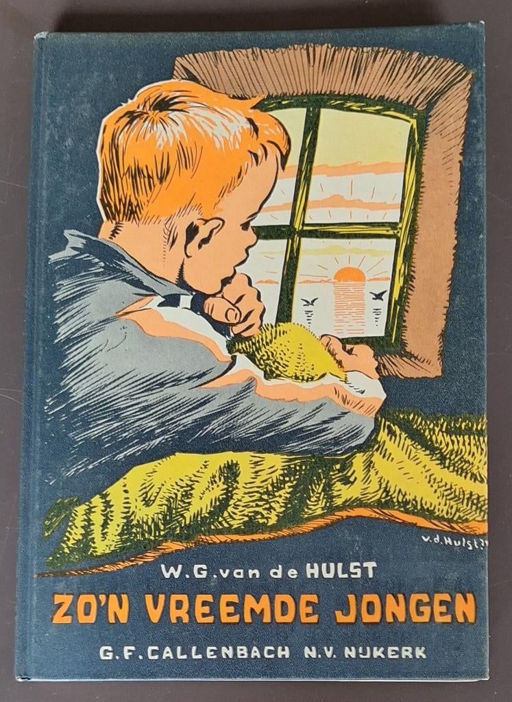Zo'n vreemde jongen - W.G. van de Hulst, Ophalen of Verzenden, Gelezen, W.G. van de Hulst