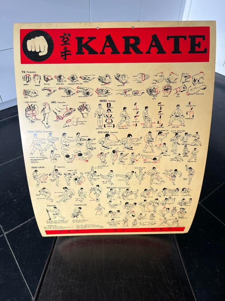 VINTAGE PLASTIC KARATE LESBORD POSTER, Antiek en Kunst, Curiosa en Brocante, Ophalen