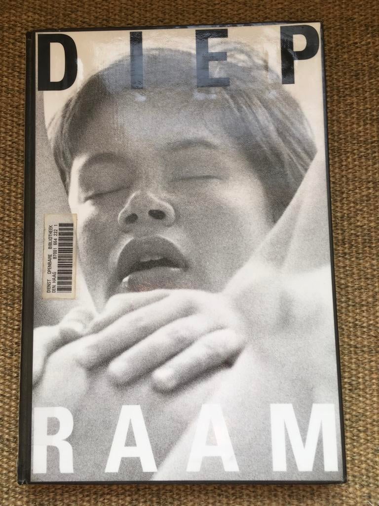 Willem Diepraam, Boeken, Ophalen of Verzenden, Gelezen, Overige onderwerpen