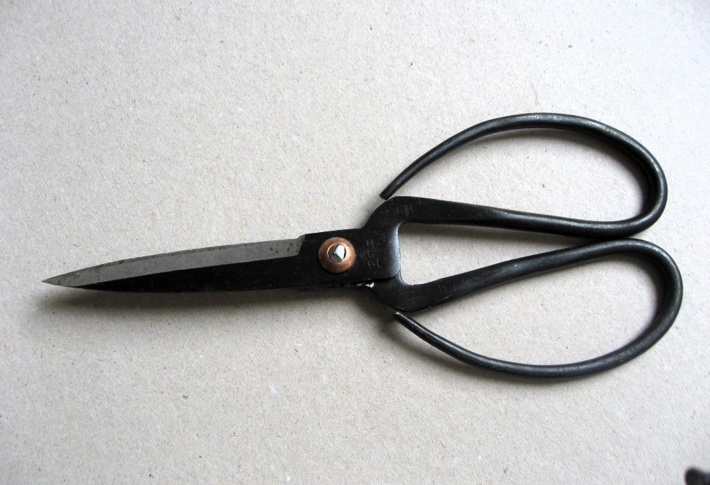 Grote Chinese bonsai snoeischaar, handgemaakt Wang Mazhi, Ophalen of Verzenden