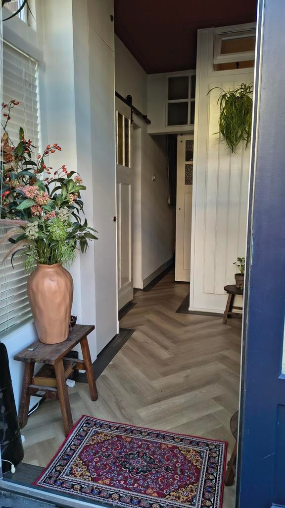 Nijmegen: huis- en kattenoppas gevraagd, 35 tot 50 m², Nijmegen