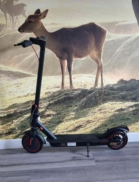 Nieuwe elektrische step 350W, Ophalen of Verzenden, Nieuw, Elektrische step (E-scooter)