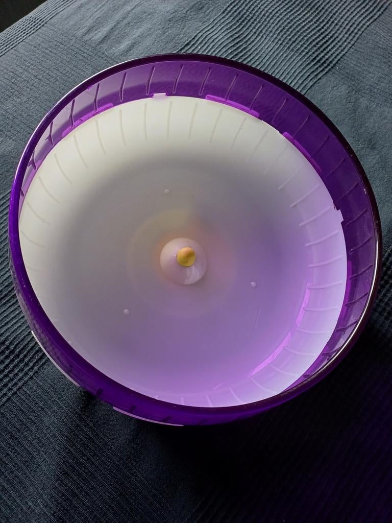 Rad voor dieren, zoals rat, fret, of anderen 30 cm looprad r, Ophalen, Loopwiel of Rad