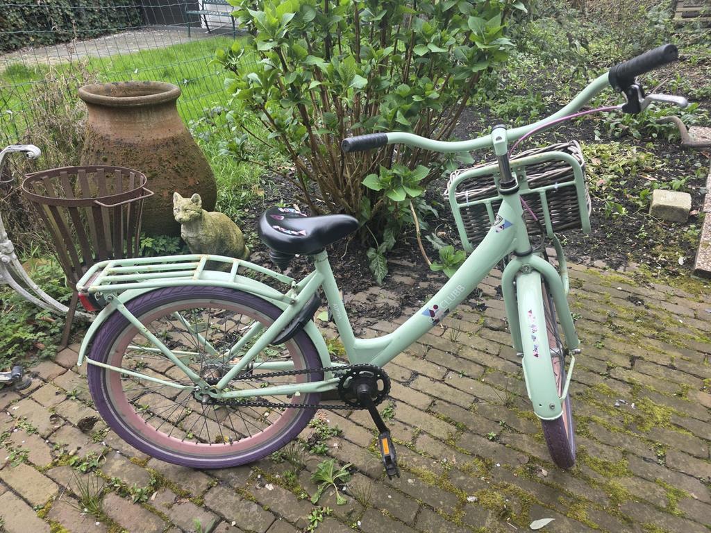 Mooie alpina clubb meisjesfiets 18 inch, Fietsen en Brommers, Ophalen of Verzenden, Gebruikt, 20 inch, Handrem