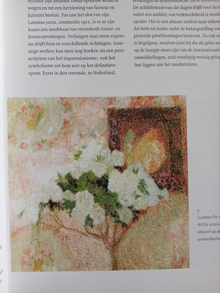 De Passage: Vlaamse kunstenaars in Nederland 1914-1918, Boeken, Ophalen of Verzenden, Overige onderwerpen