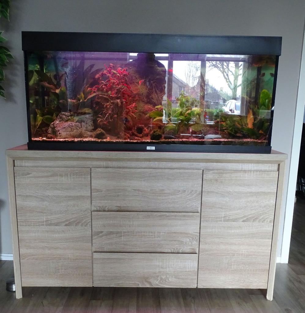 Aquarium 120x40x50 te koop, Ophalen, Gebruikt, Gevuld zoetwateraquarium