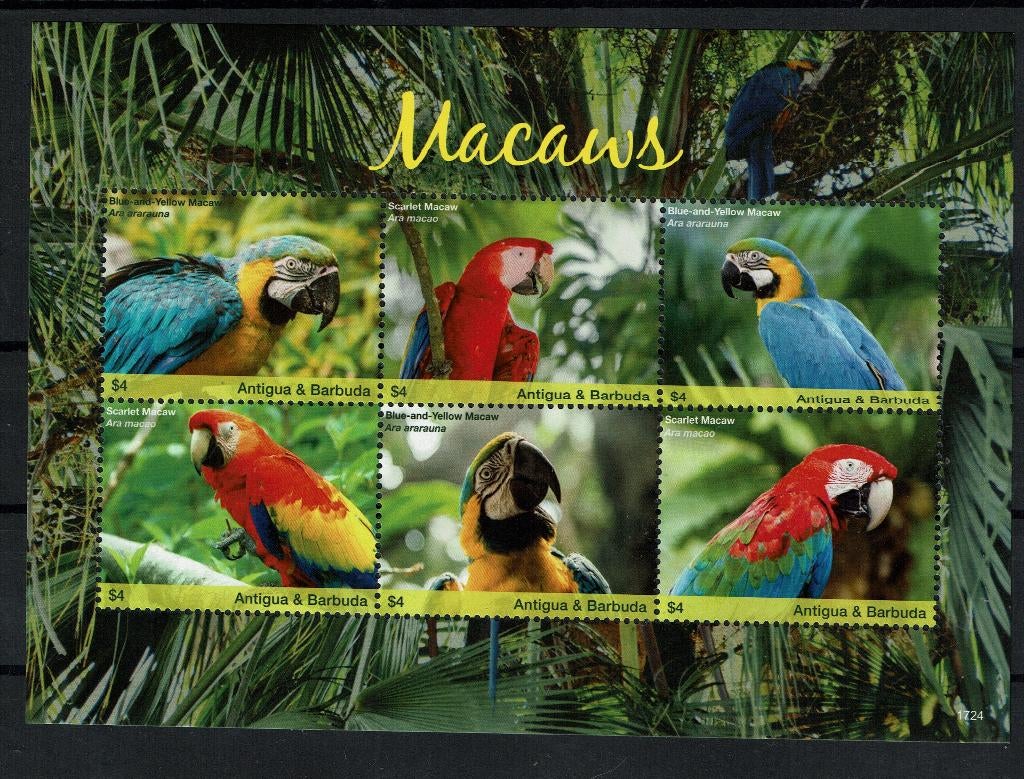 ANTIGUA 2017 PF BLOK PAPEGAAIEN PARROTS VOGELS BIRDS 1, Ophalen of Verzenden, Postfris, Dier of Natuur
