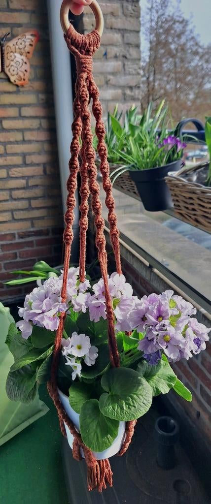 Homemade plantenhanger. Stevig touw!, Ophalen of Verzenden, Nieuw