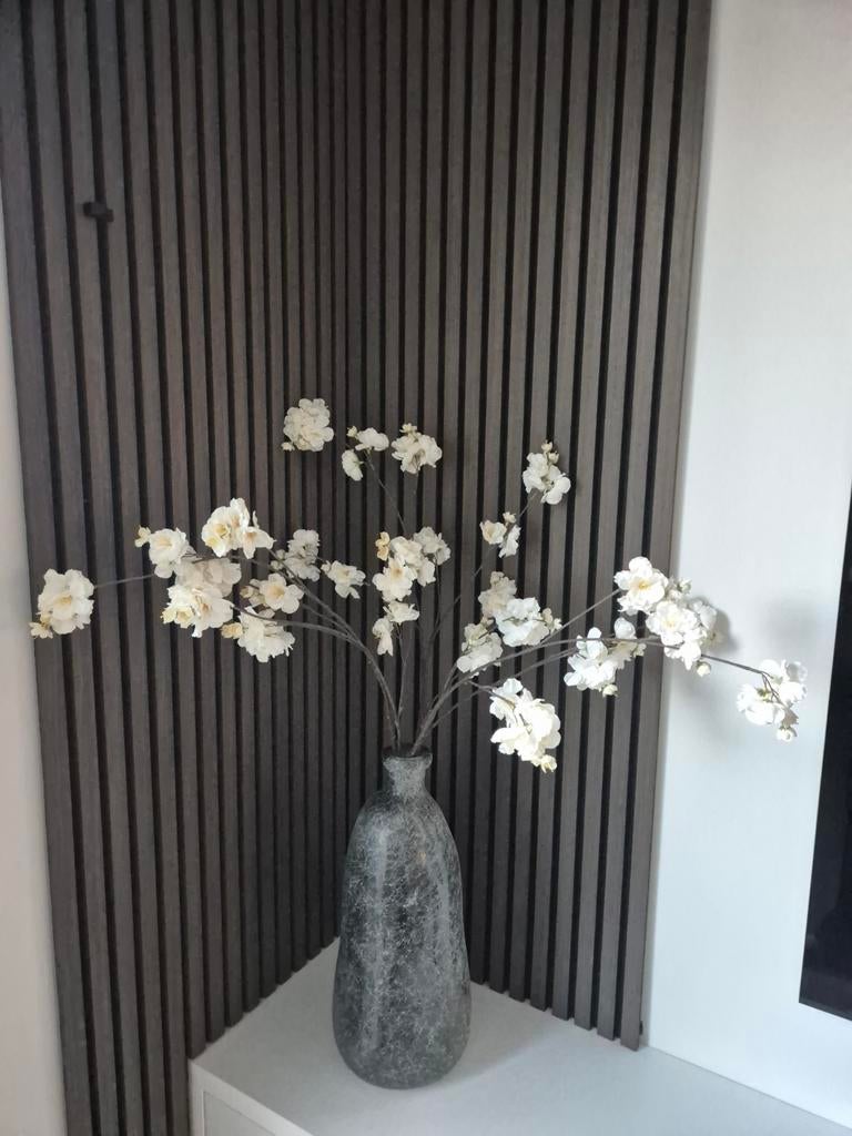 Bloesemtakken, Ophalen of Verzenden