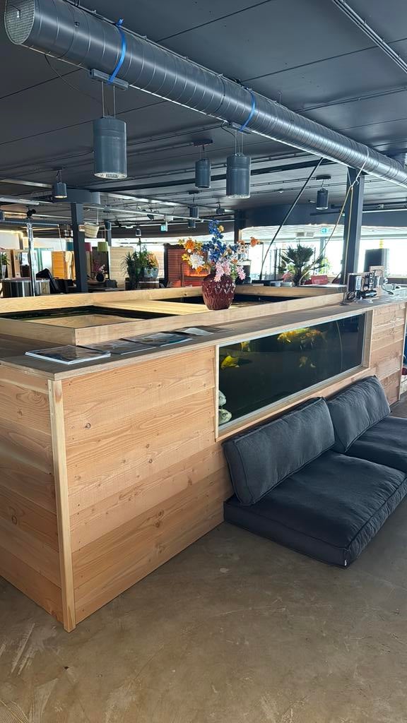 Visvijver met koi karpers, Ophalen of Verzenden, Zo goed als nieuw