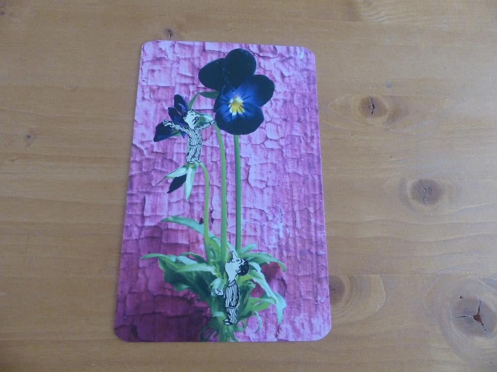 ansichtkaarten tuin 'grappig - funny' humor, Verzenden, 1980 tot heden, Ongelopen, Overige thema's