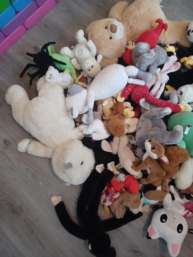 Grote verzameling knuffels!, Ophalen, Gebruikt, Overige typen