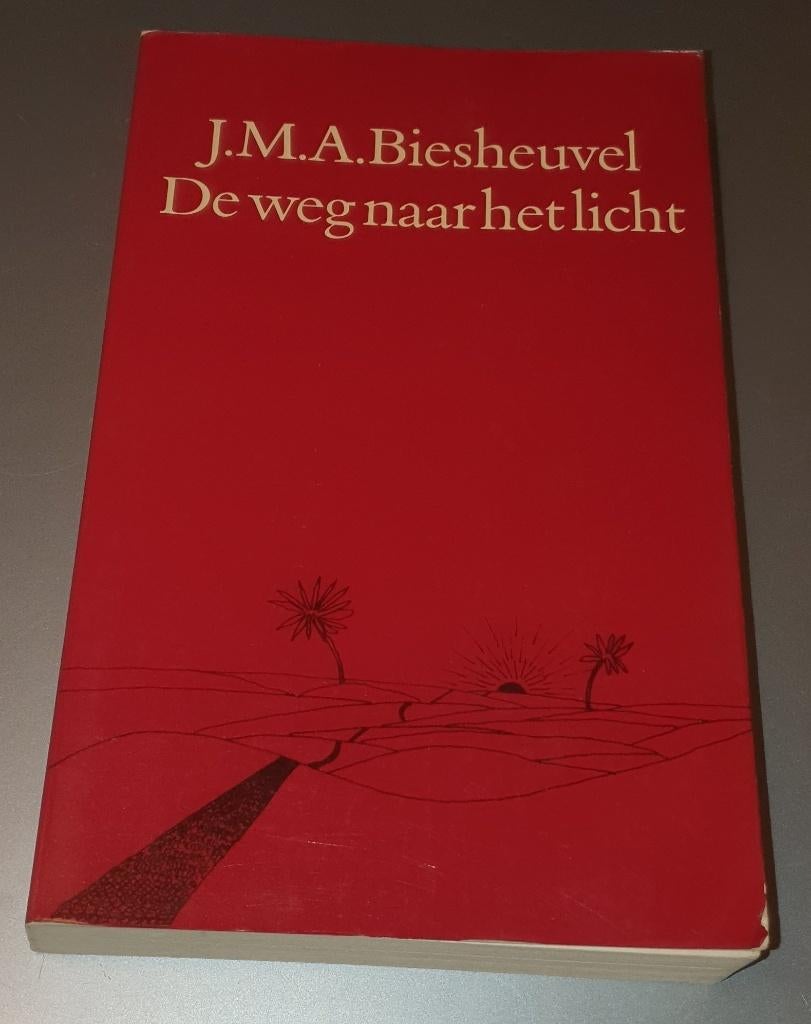 J.M.A. Biesheuvel - De weg naar het licht, Ophalen of Verzenden, Gelezen