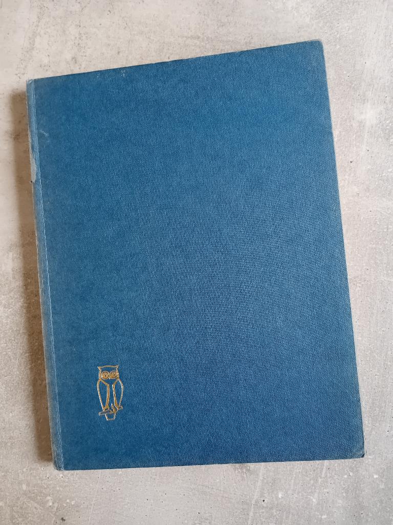 Stockboek Blauw 8 Bladen, 16 witte Pagina's, Postzegels en Munten, Postzegels | Toebehoren, Verzenden, Verzamelalbum