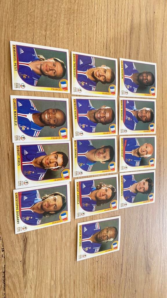 Panini wk 2002 frankrijk, Ophalen of Verzenden, Buitenlandse clubs, Poster, Plaatje of Sticker