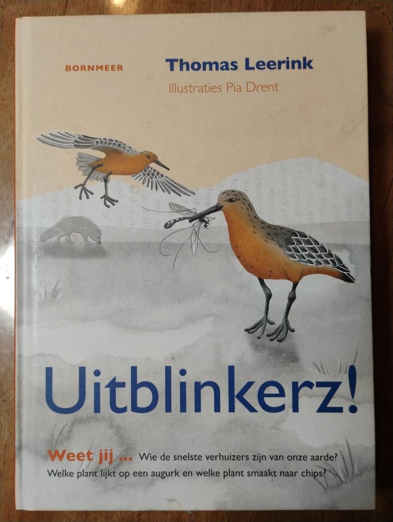 Uitblinkersz! - Thomas Leerink, Ophalen of Verzenden, Zo goed als nieuw, Thomas Leerink, Non-fictie