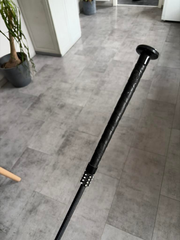 Zweep Harry’s horse, Ophalen, Zo goed als nieuw, Dressuur, Overige typen