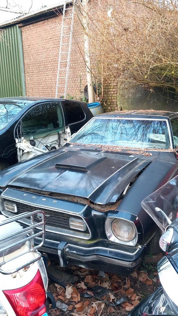 Ford mustang mach 2 type 2 ghia, Auto-onderdelen, Ophalen, Voor, Nieuw, Spatbord