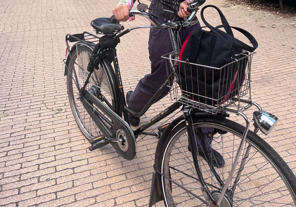 Gazelle's Bike fietsen, 50 tot 53 cm, Ophalen, Gebruikt, Gazelle