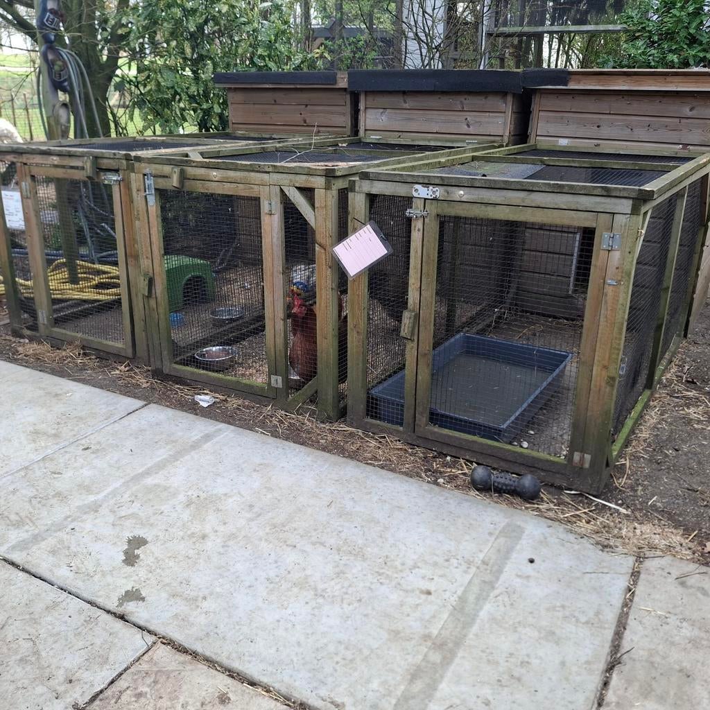 Konijnen hokken GRATIS, Dieren en Toebehoren, Knaagdieren en Konijnen | Hokken en Kooien, Ophalen, 90 cm of meer, Hok, 110 cm of meer