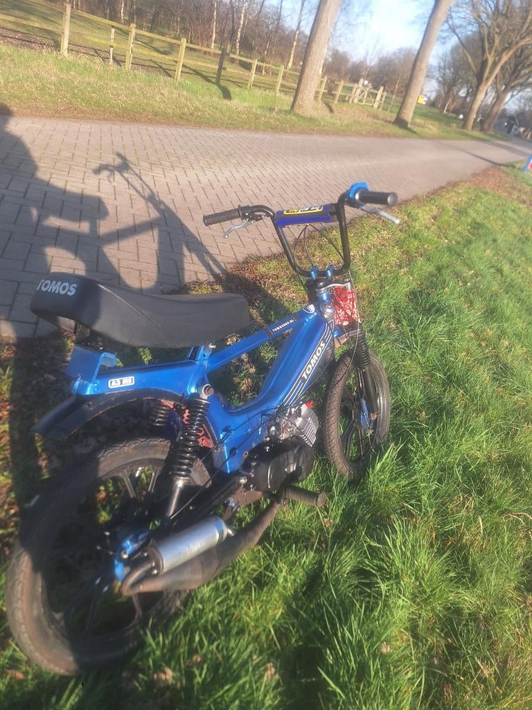 Tomos 65cc, Fietsen en Brommers, Brommers | Tomos, Overige modellen, Maximaal 45 km/u, 65 cc, Ophalen of Verzenden