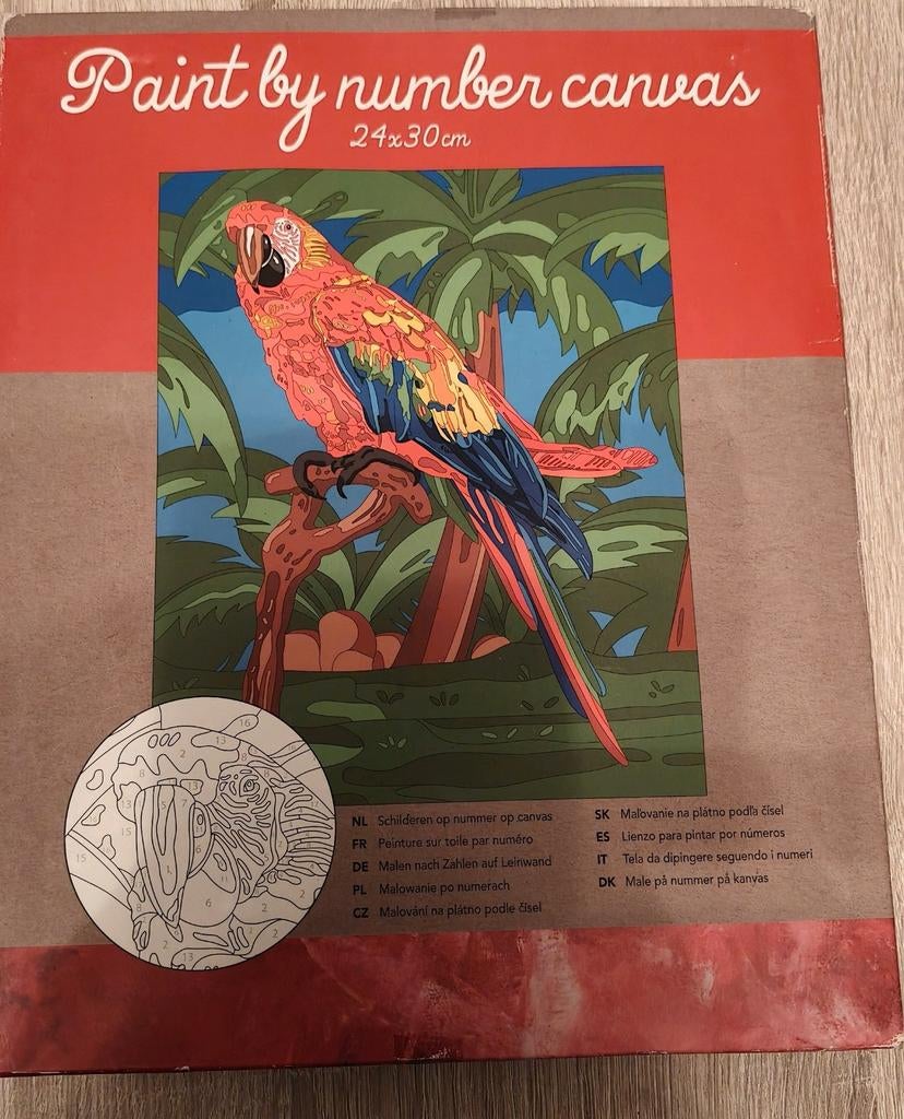 Paint by number canvas, 1 speler, Ophalen of Verzenden, Zo goed als nieuw, Vanaf 3 jaar