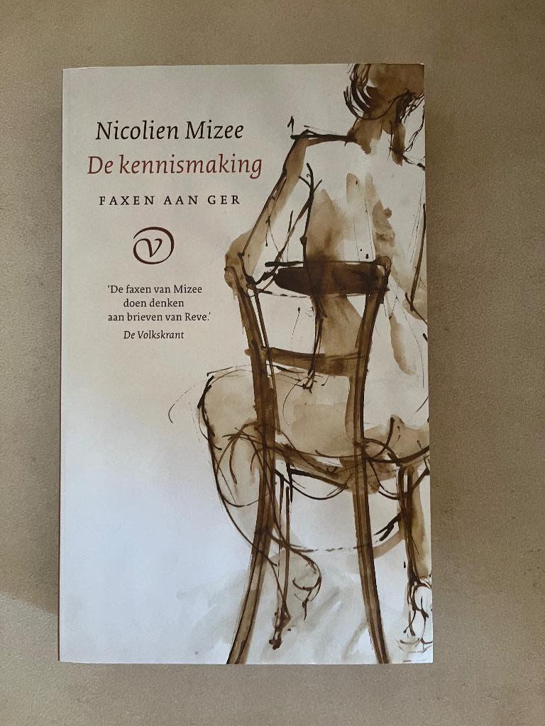 De kennismaking, Ophalen of Verzenden, Zo goed als nieuw, Nicolien Mizee