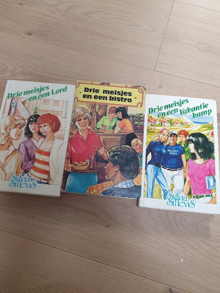 Drie meisjes...-Sylvia Sillevis, Ophalen of Verzenden, Zo goed als nieuw