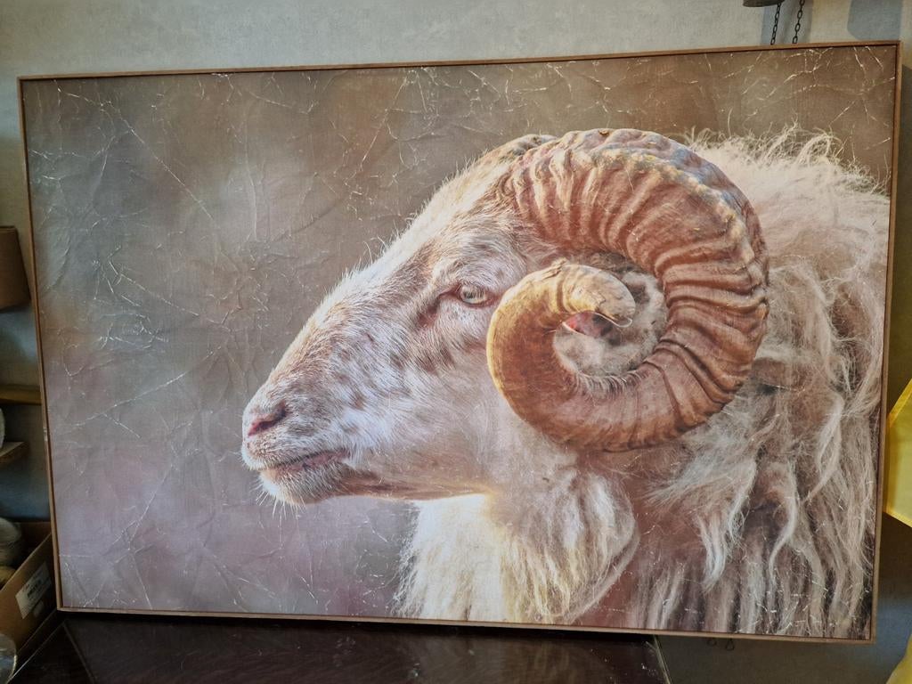 Schilderij met indrukwekkende moeflon - 120 x 80 cm, Ophalen