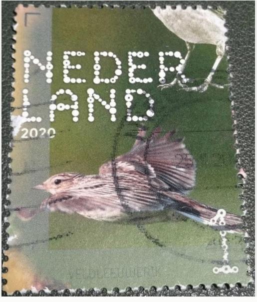 Beleef de Natuur - 3833 - 2020 - Veldleeuwerik, Verzenden, Na 1940, Gestempeld