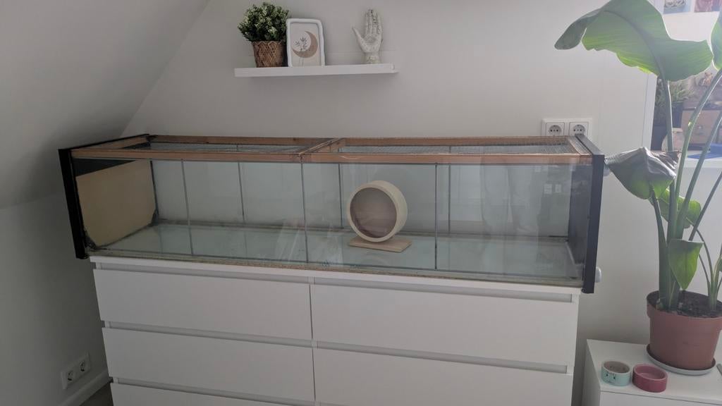 Knaagdieren terrarium, 110 cm of meer, Muis, Hok, Ophalen