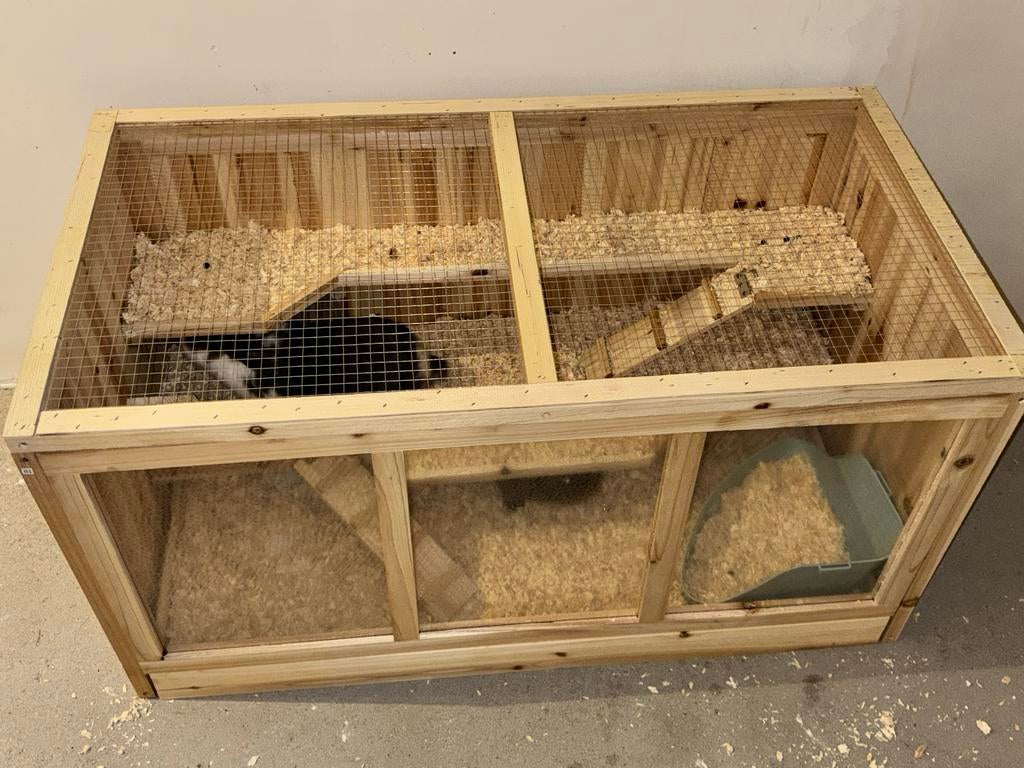 Hamster/ knaagdieren kooi van hout, Minder dan 60 cm, Kooi, Muis, Nieuw