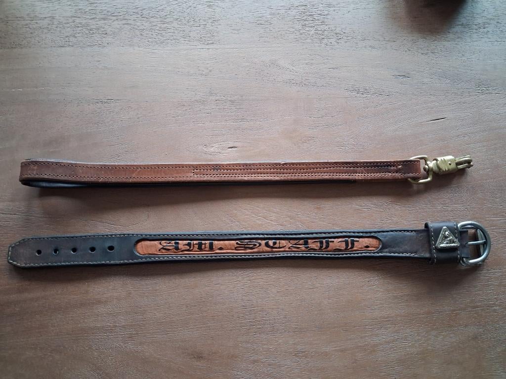 American Stafford halsband en riem, Dieren en Toebehoren, Hondenhalsbanden en Penningen, Nieuw, Ophalen of Verzenden