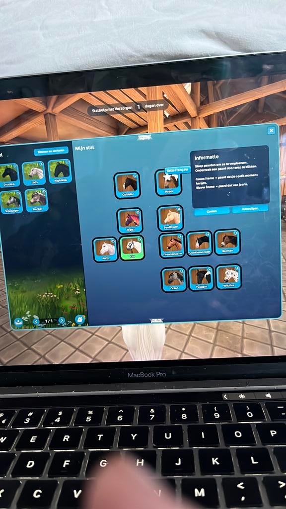 Starstable, 1 speler, Verzenden, Zo goed als nieuw