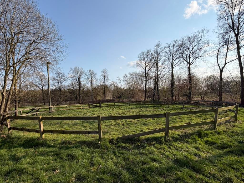 Longeerbak, Ophalen of Verzenden