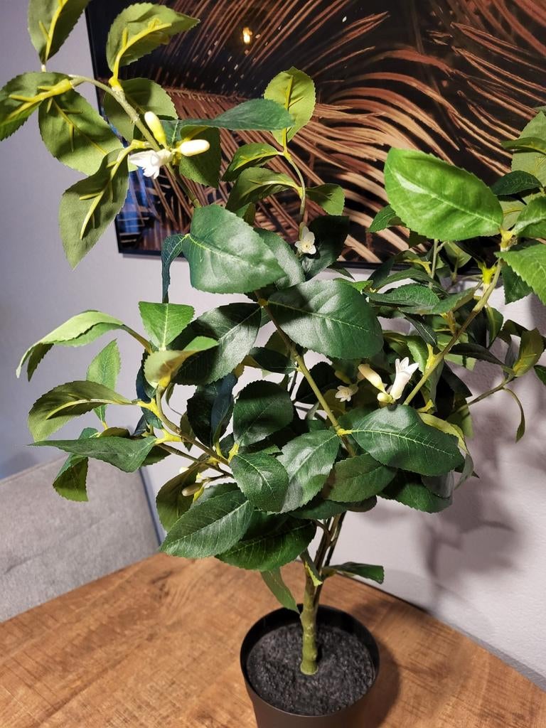 Fjeka plant Ikea nieuw, Huis en Inrichting, Woonaccessoires | Kunstplanten en Kunstbloemen, Ophalen, Nieuw, Binnen