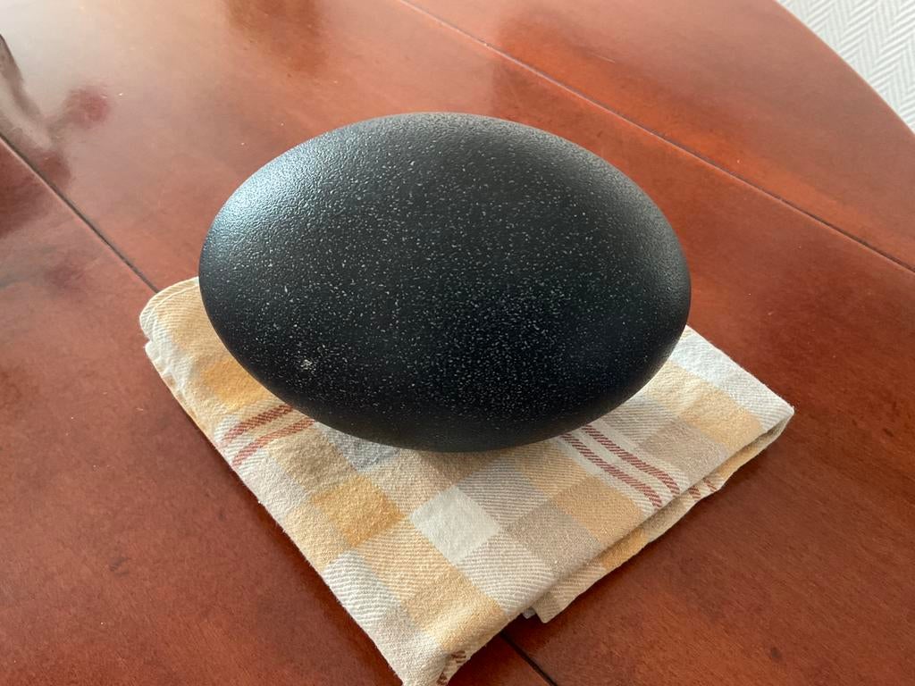 Emoe ei, origineel., Ophalen, Gebruikt, Wild dier, Overige typen