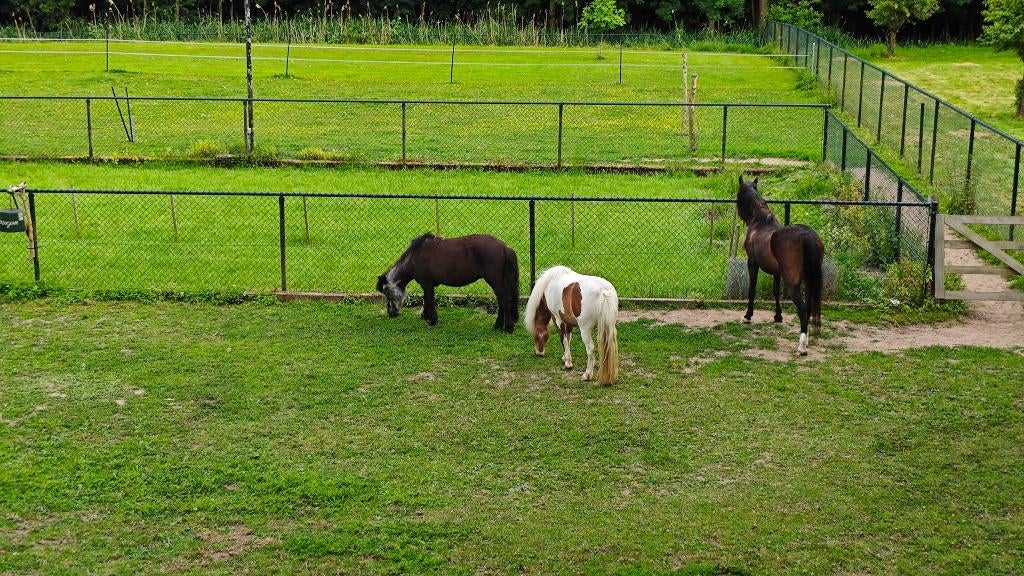 Gaashekwerk / rasterhek compleet, ca.100m. lang, 130cm. hoog, Ophalen, Gebruikt, IJzer, Gaashekwerk