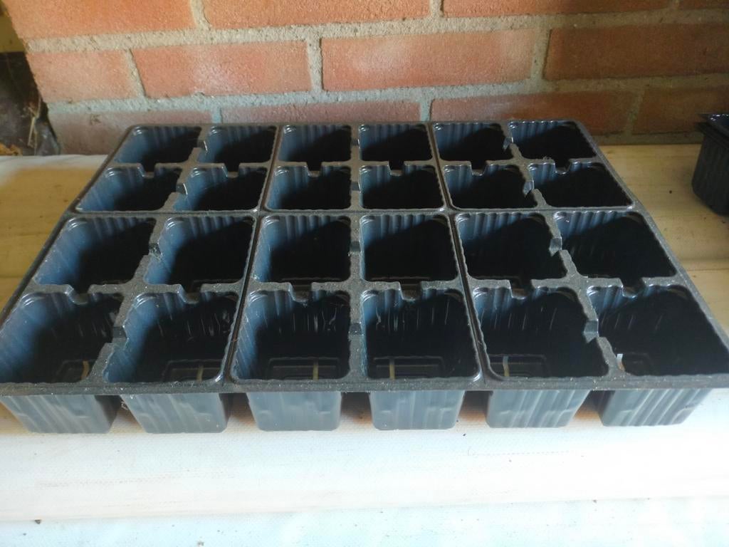 Kweektray 24 gaats. 200 stuks beschikbaar, Tuin en Terras, Ophalen of Verzenden, Rond, Hout, Minder dan 30 cm
