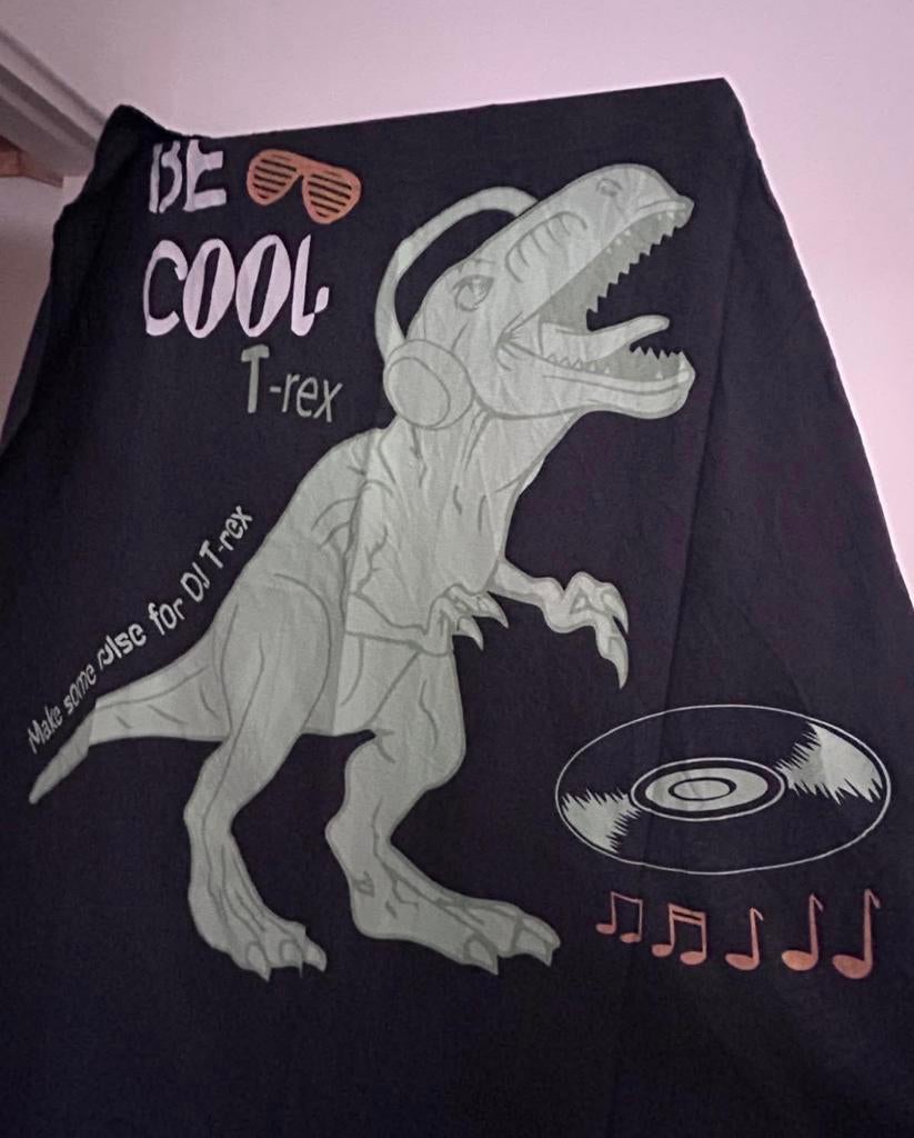 1-pers Dino dekbedovertrek, Gebruikt, Blauw, Dekbedovertrek, Ophalen of Verzenden