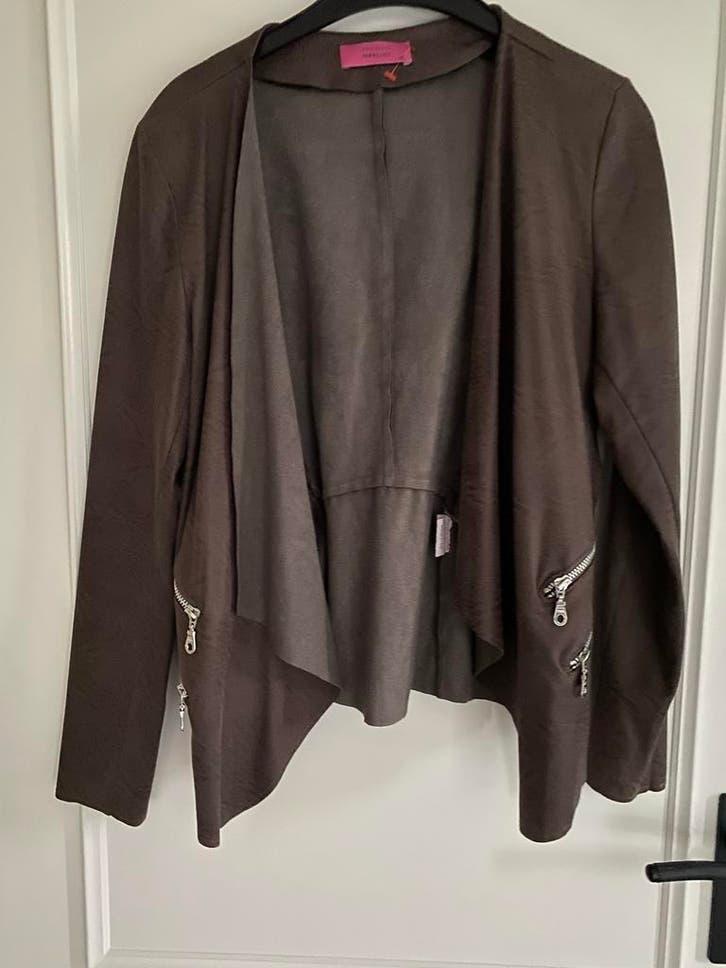 Studio anneloes bruin jasje/ vest, Kleding | Dames, Ophalen of Verzenden, Zo goed als nieuw, Maat 46/48 (XL) of groter, Bruin