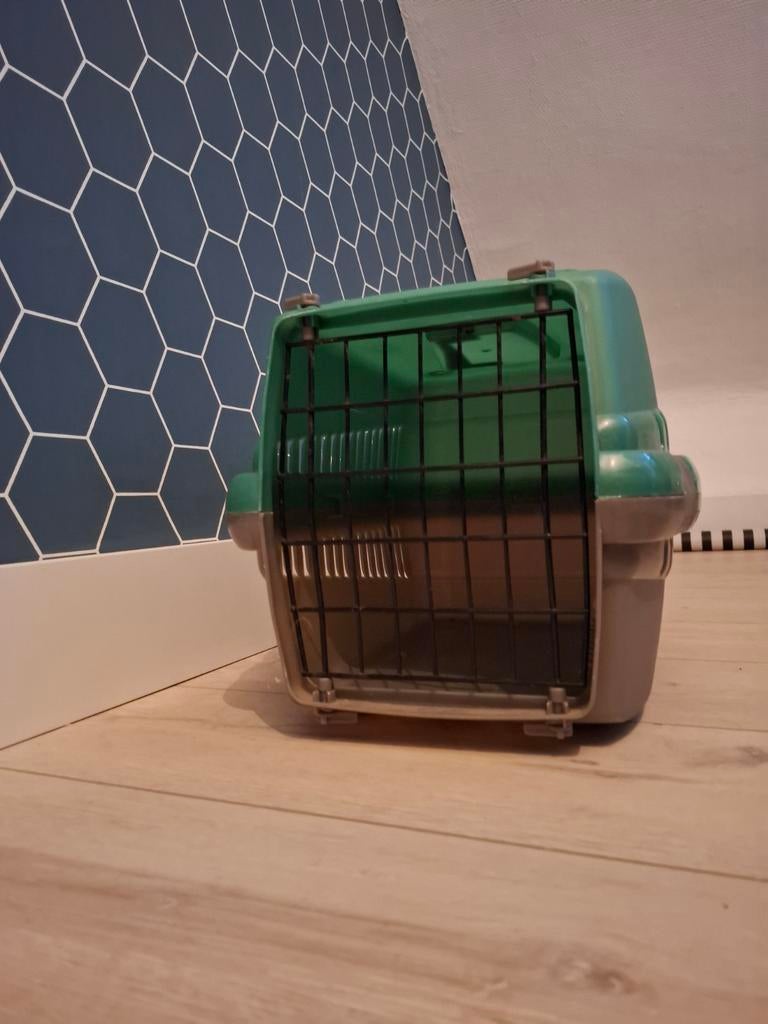 Reismand kat, Ophalen