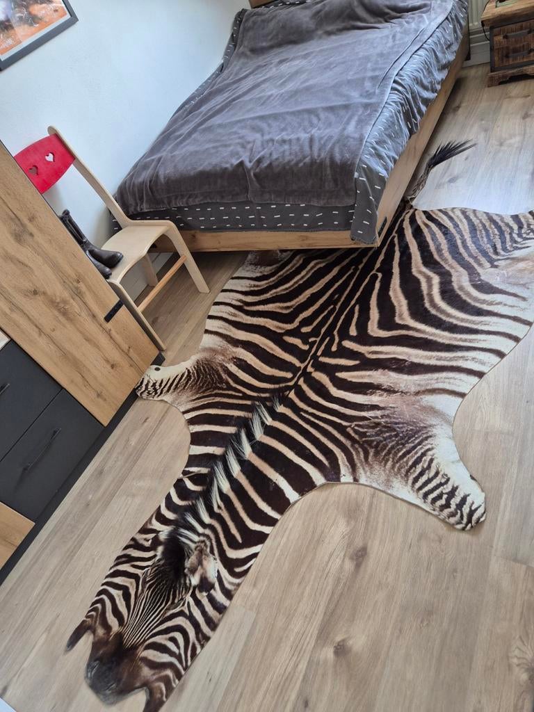 Echte zebra huid vloerkleed, Huis en Inrichting, Ophalen, 150 tot 200 cm, 200 cm of meer, Zo goed als nieuw