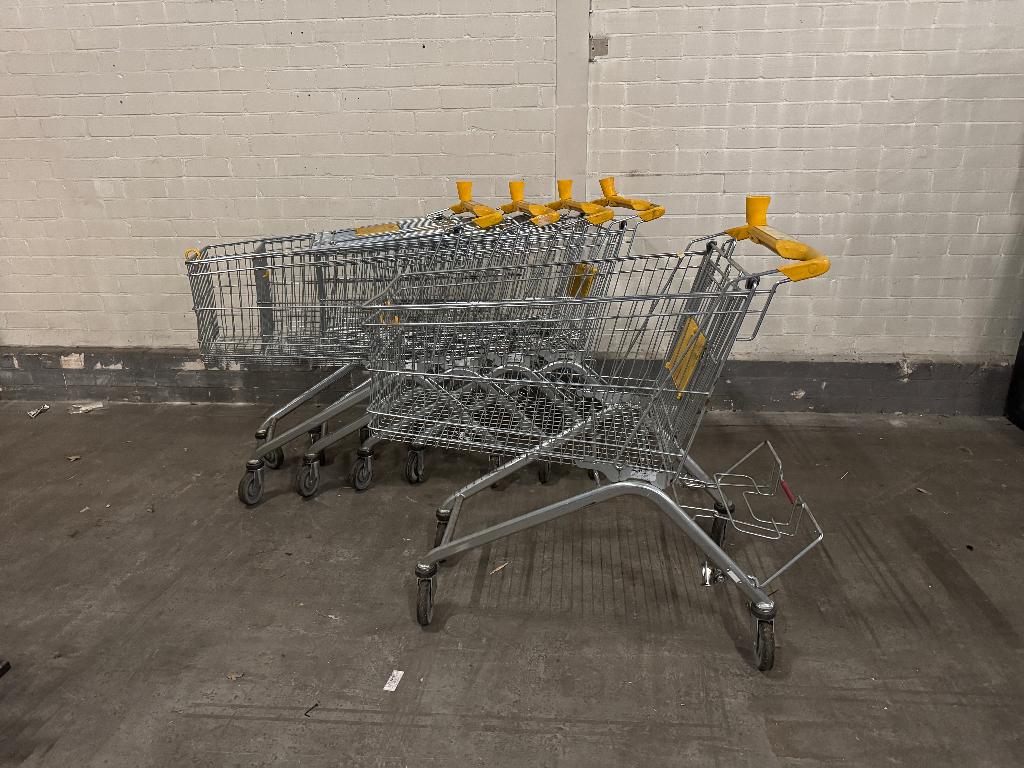 Wanzl winkelwagen 110x60x115cm (5 stuks), 100 liter of meer, Ophalen, Gebruikt, Transportkar