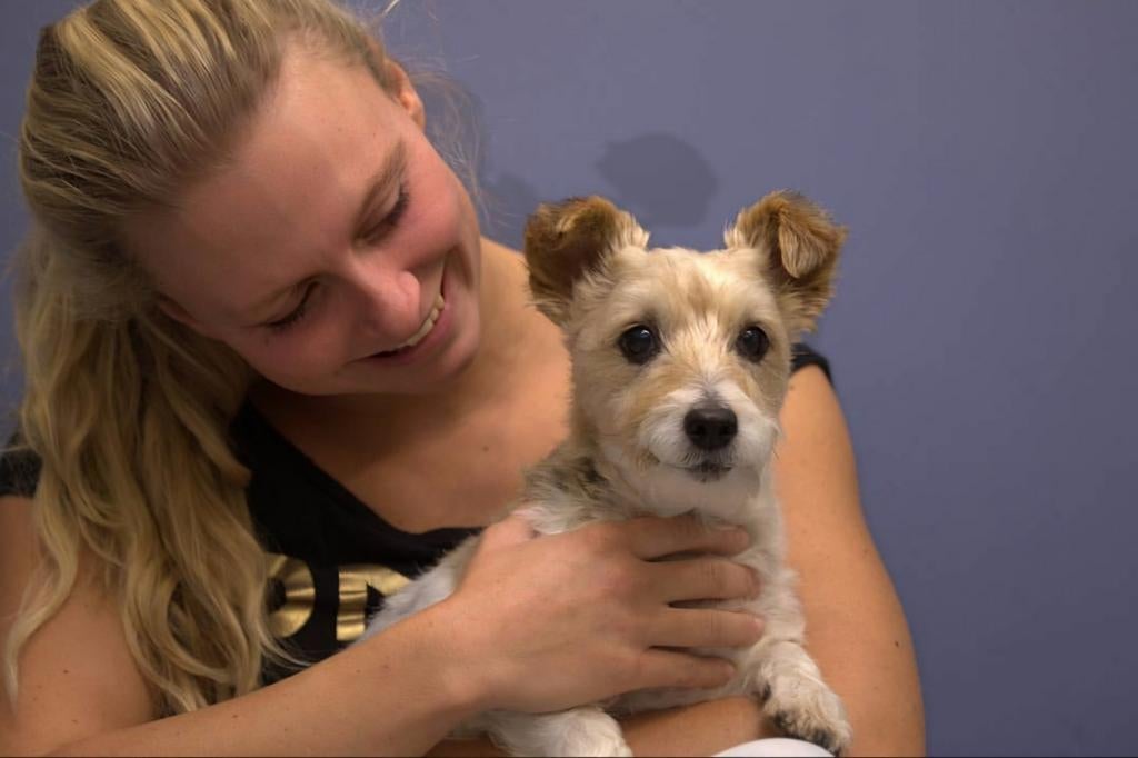 Oppas aangeboden in Doetinchem!, Komt aan huis, Oppas