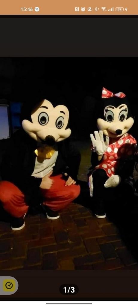 Mascotte pak te huur van Minnie& Mickey Mouse, Ophalen of Verzenden, Zo goed als nieuw, Verjaardag
