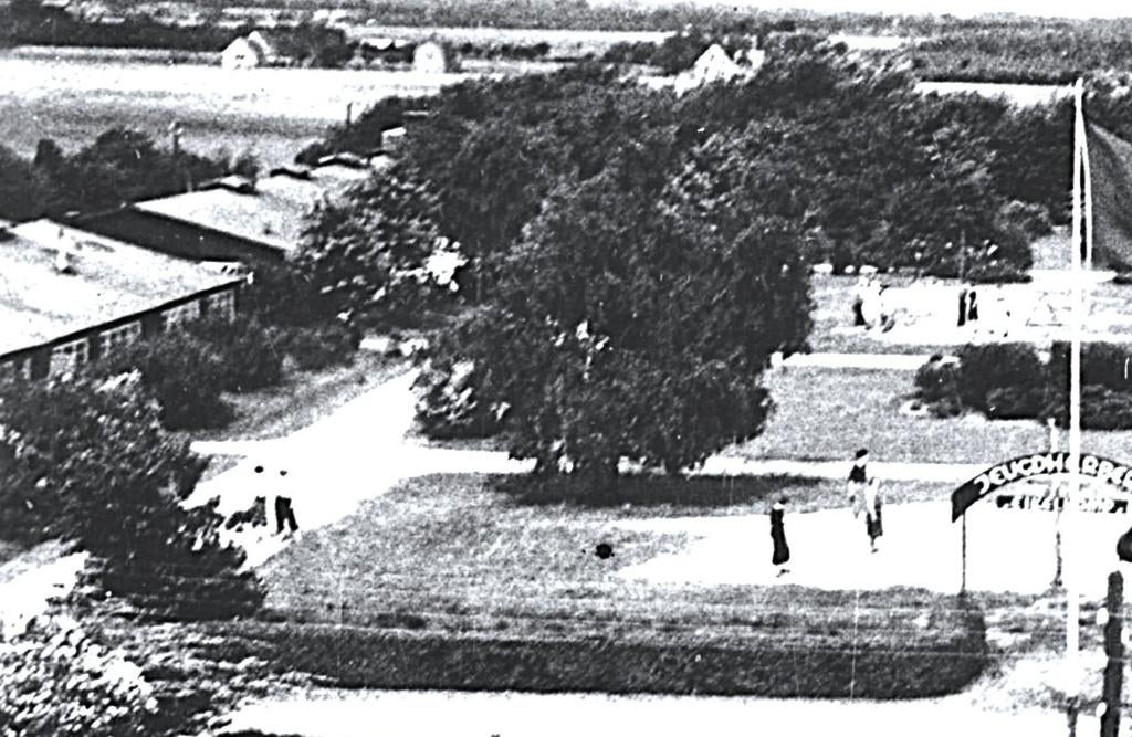 965018 Elst Jeugdherberg Eikelkamp Mooie oude kaart Onbeschr, Verzamelen, Ophalen of Verzenden, 1960 tot 1980, Ongelopen, Utrecht