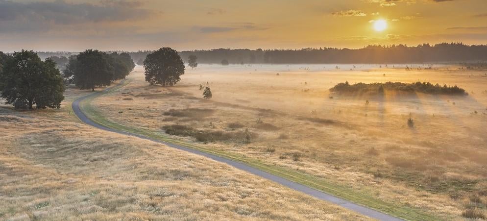 Sport/wandelmaatje gezocht