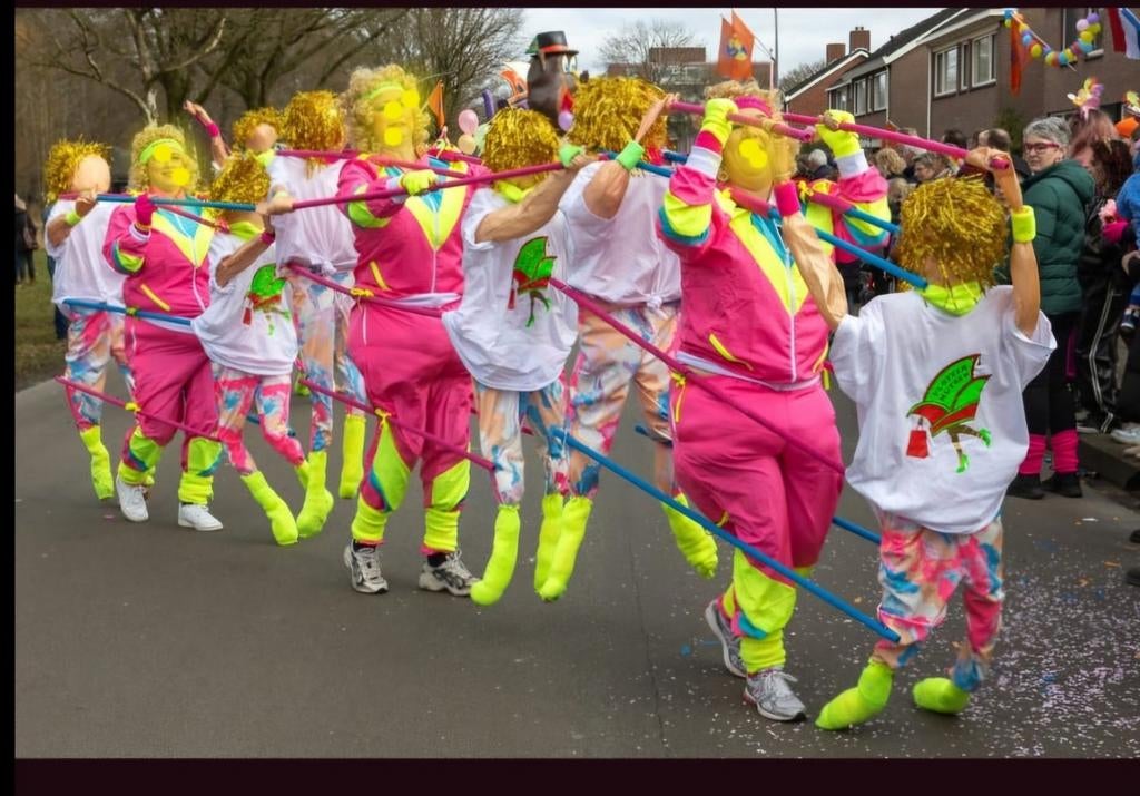 Loopgroep carnaval 6 personen, Kleding | Dames, Carnavalskleding en Feestkleding, Zo goed als nieuw, Carnaval, Ophalen